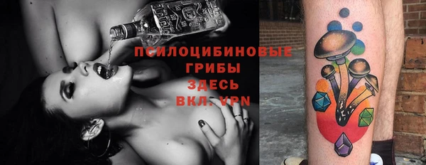ECSTASY Армянск