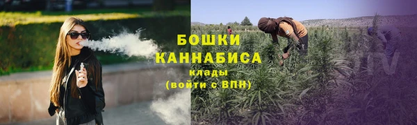 не бодяженный Арсеньев
