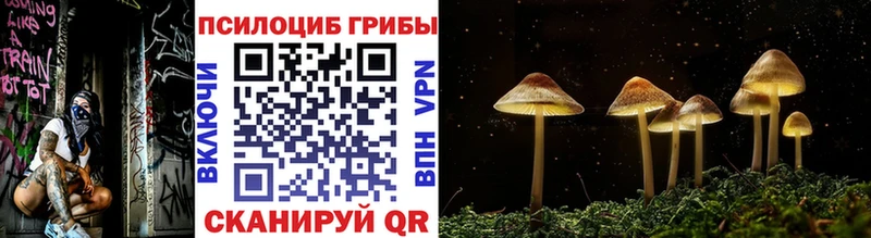 mega ТОР  наркошоп  Багратионовск  Галлюциногенные грибы мицелий 